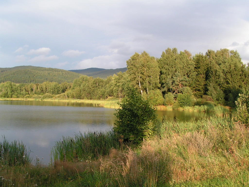 Penzion Mansky Dvur Dolni Zandov Экстерьер фото
